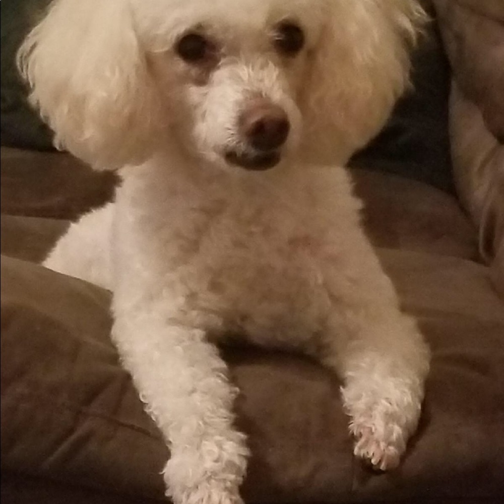 Meet your Posher, Tarsha